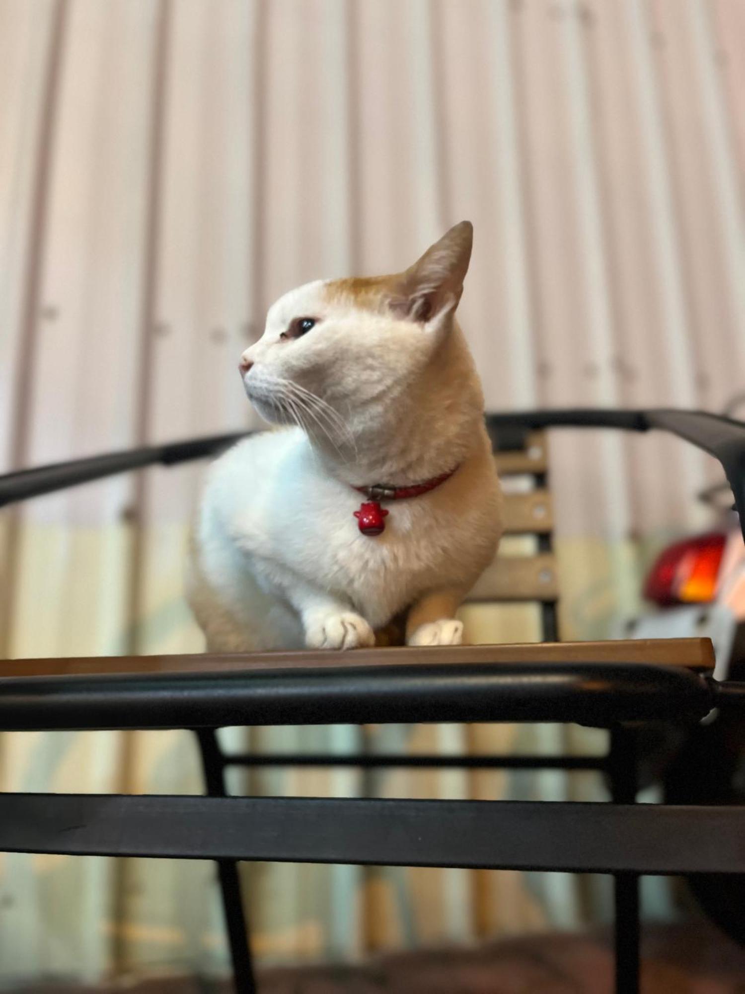 墾丁大街kenting Night Market-福賓別館 Fu Bin Inn Dış mekan fotoğraf